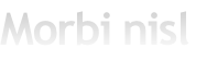 Morbi nisl